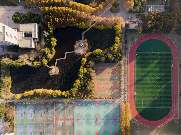 Les aliments à bannir pour une musculation efficace