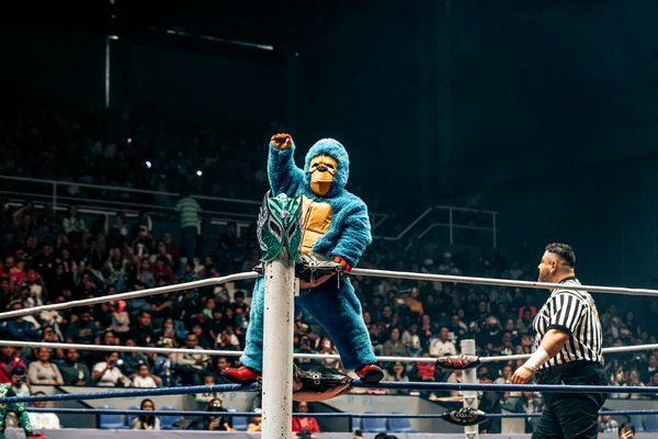 Top 10 des techniques de base à maîtriser en MMA